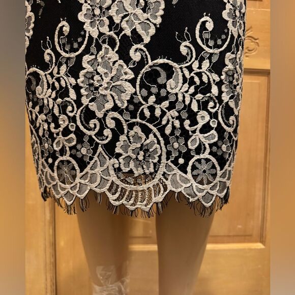 Erin Fetherston Blk Wht Sleeveless Floral Lace Cocktail V-Neck Dress Sz 4 - Picture 4 of 9